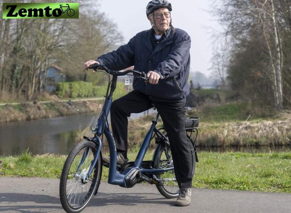 Elektro-Fahrrad Tiefeinstieg ERGO, Burgers, 51 cm, 24 Zoll grau